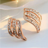 wild earrings, earrings,